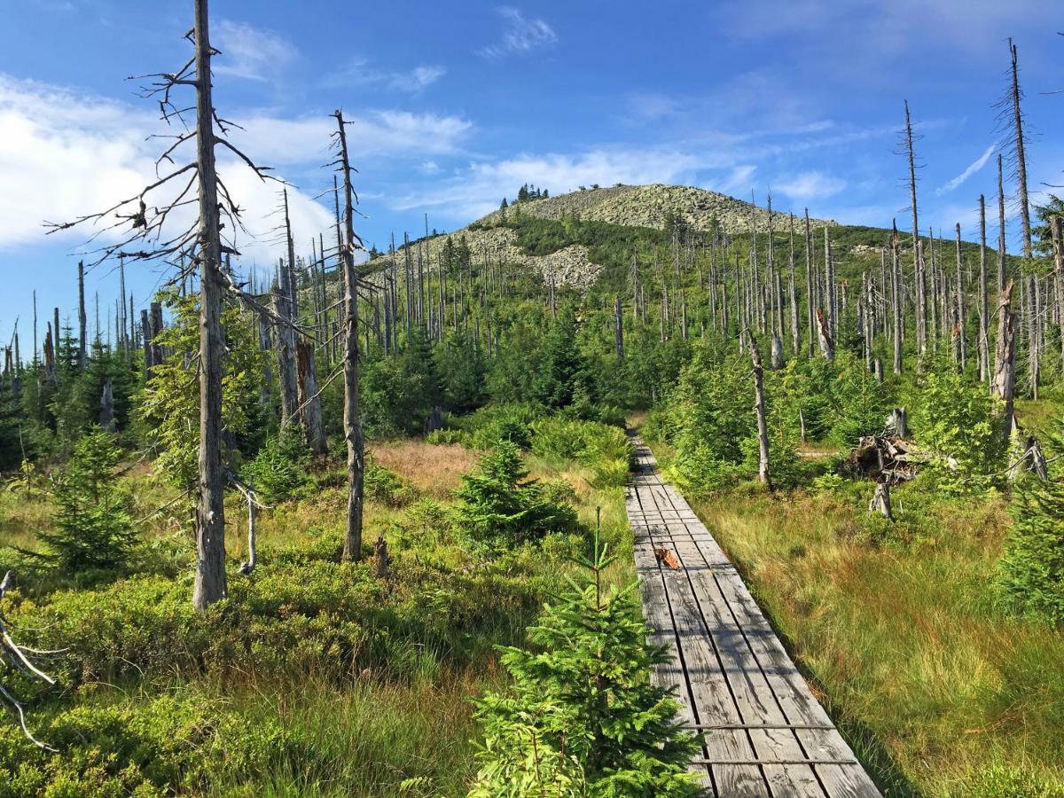 Ferienwohnung Fernblick Neukirchen vorm Wald Zewnętrze zdjęcie